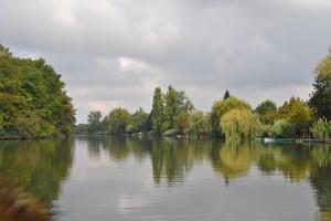 DSC 2154